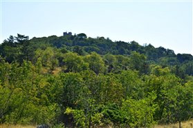 Paragrafo di Testo (1)